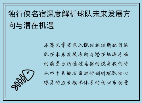 独行侠名宿深度解析球队未来发展方向与潜在机遇